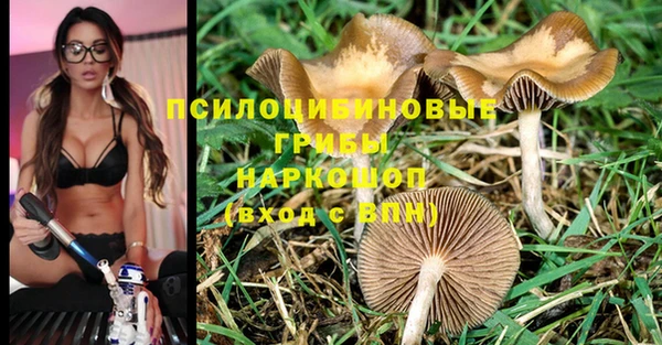 стаф Куйбышев