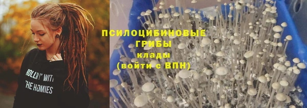 хмурый Кулебаки