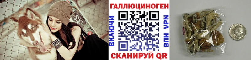 Галлюциногенные грибы Psilocybine cubensis  Купить закладки  Алзамай 