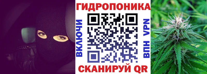 Канабис сатива  Купить  Алзамай 